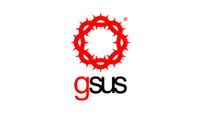 Gsus kleding discount