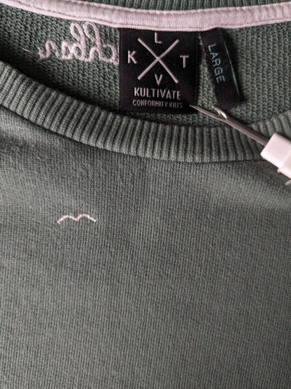 Cultivez le pull. De couleur blanc vert. Taille L.