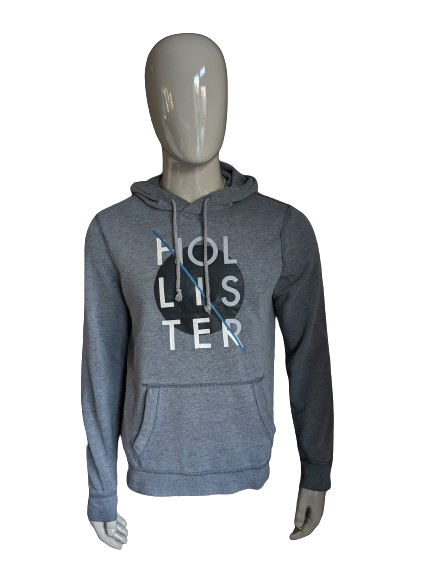 Hollister Hoodie. Dark gray mixed with print. Size M.