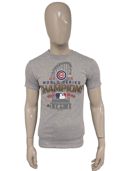 UBS World Series Champions Shirt. Gray with print. Size S.