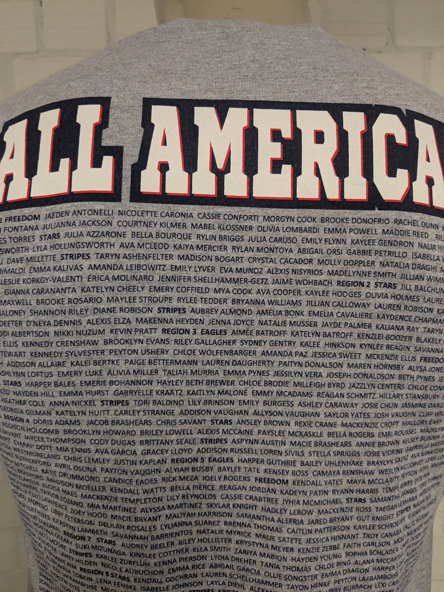 USA 2022 Softball shirt. Grijs met opdruk. Maat M.