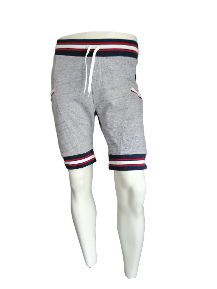 Barcode Berlin shorts. Gray mixed with red white blue accents. Size XL.
